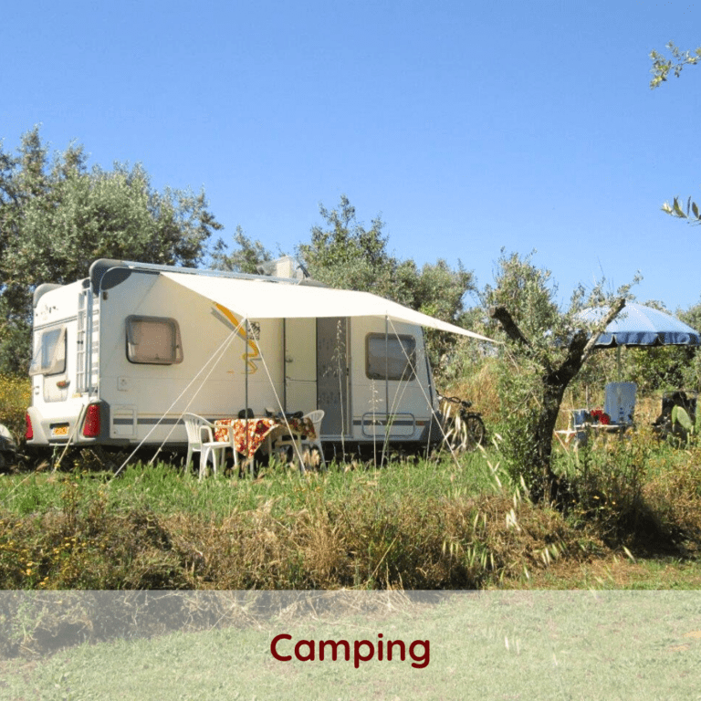 Un camping de petite envergure situé entre nature et culture a Tomar Ferreira do Zezere Portugal