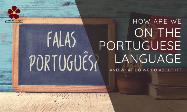 learning portuguese