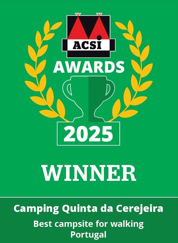 Campsite walking