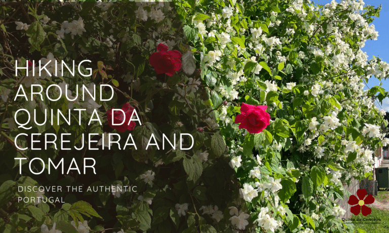 Hiking around Quinta da Cerejeira and Tomar