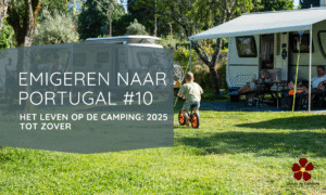 Het Leven op de Camping: 2025 tot zover