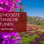 de mooiste botanische tuinen van portugal