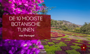 De mooiste botanische tuinen van Portugal