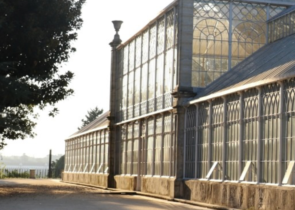 de mooiste botanische tuinen van portugal