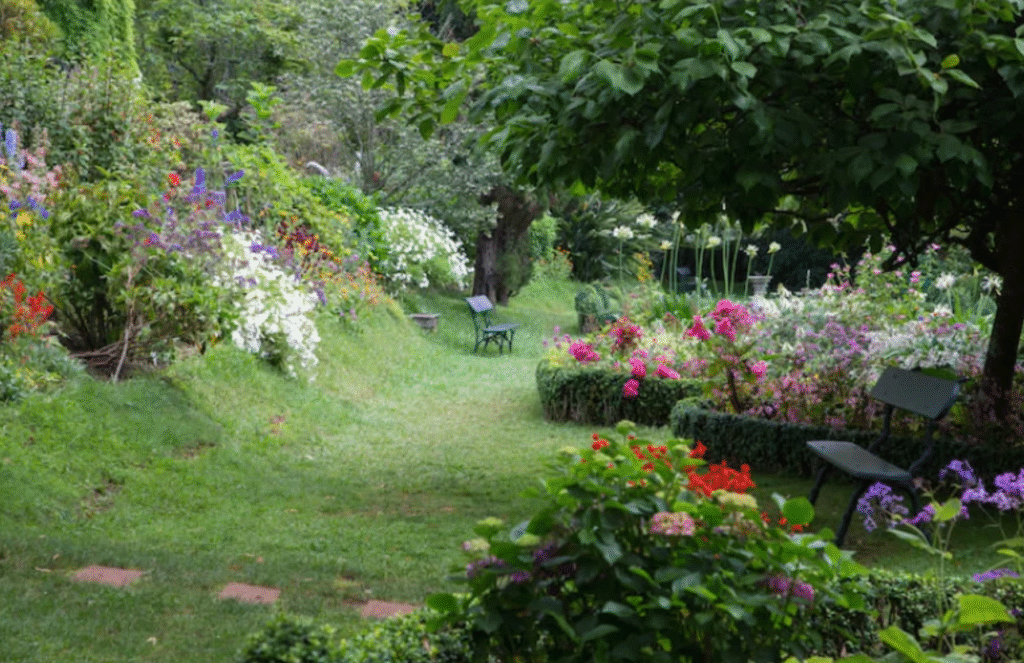 de mooiste botanische tuinen van portugal