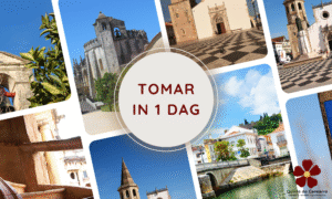 Wat te doen in Tomar: Jouw gids voor 1 dag in Tomar