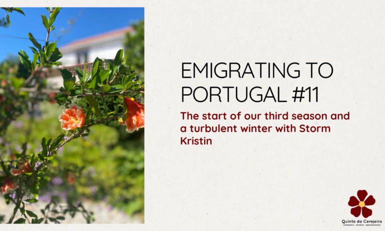 Emigrating to Portugal