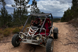 Buggy huren