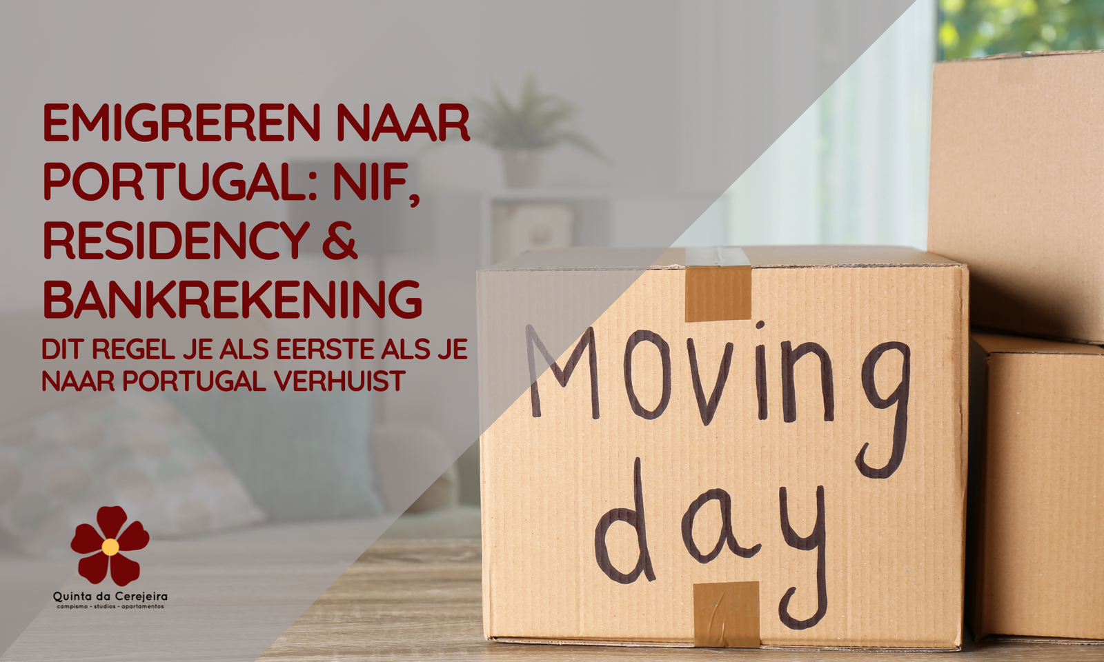 Papierwerk en documenten voor NIF en residency aanvraag in Portugal